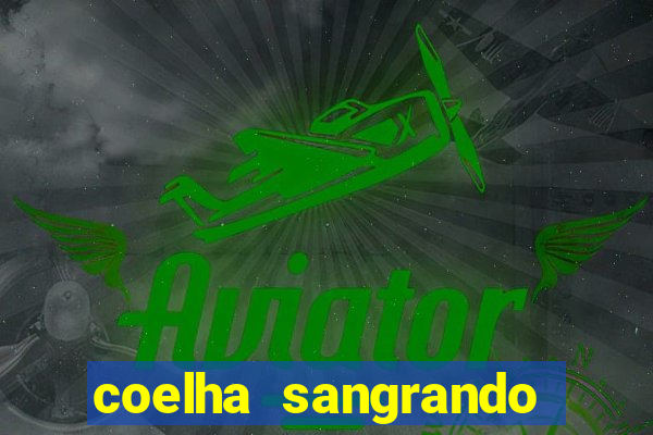 coelha sangrando pela parte intima